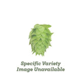 Yakima Chief Hops Ultra US Pellet